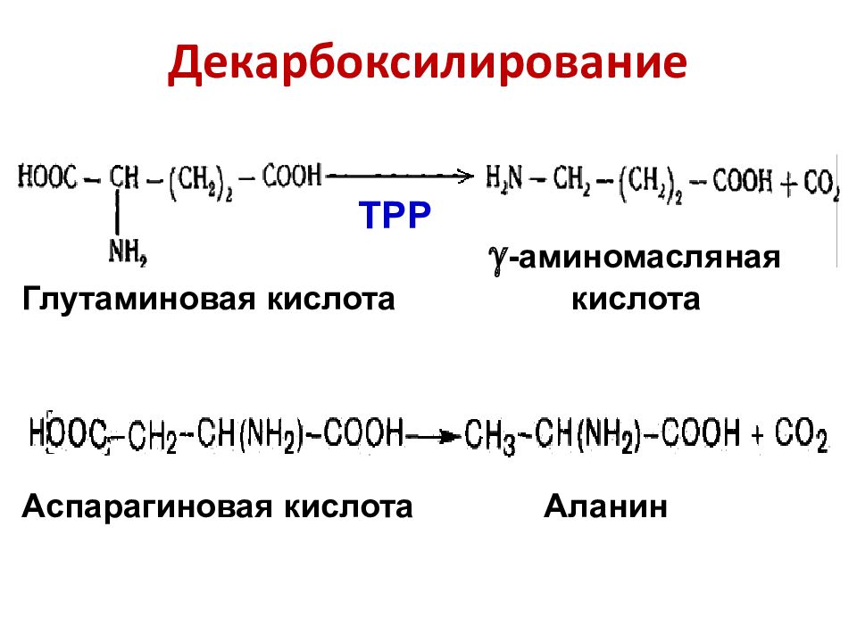 Аланин лизин глутаминовая кислота. Аланин из проаналя.