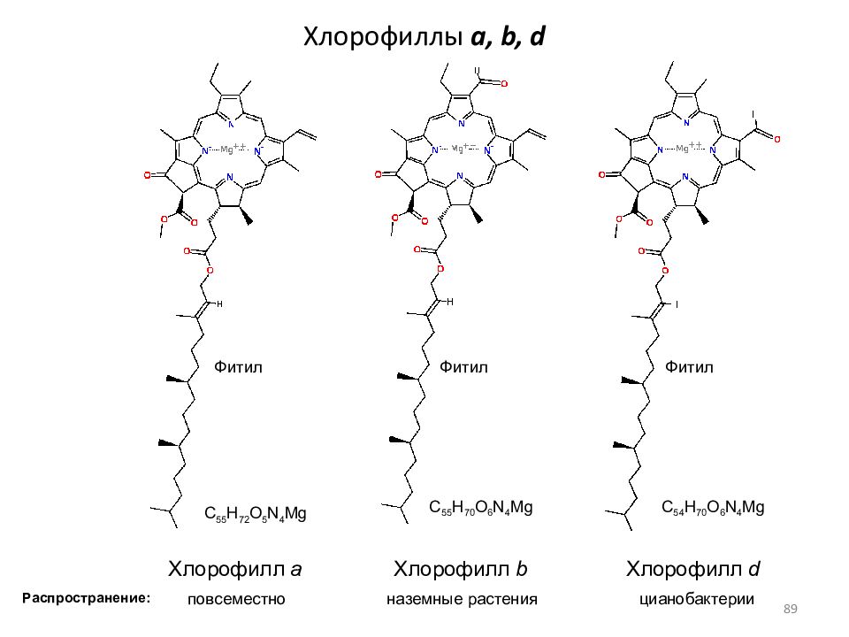 Особенности хлорофилла