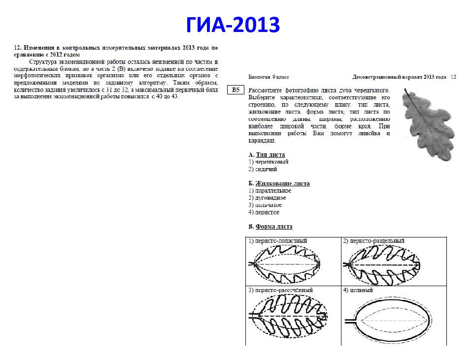 Форма листа сирени по биологии 6 класс