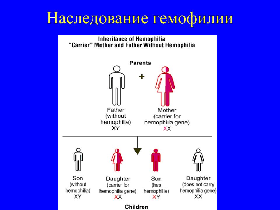 Гемофилия таблица. Гемофилия генетика Тип наследования. Гемофилия наследуется по типу. Схема наследования гемофилии. Механизм передачи гемофилии.