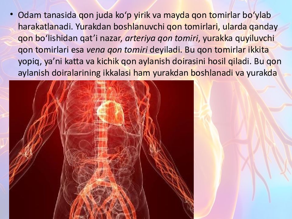 Katta va kichik qon aylanish doirasi Katta va kichik qon aylanish doirasi