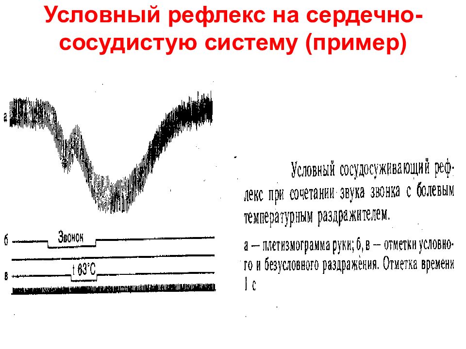 рефлекторные пути рефлексов гольца и данини-ашнера. сердечно сосудистые рефлексы. сердечный условный рефлекс. рефлекторное влияние на деятельность сердца. рефлекторная деятельность сердца.