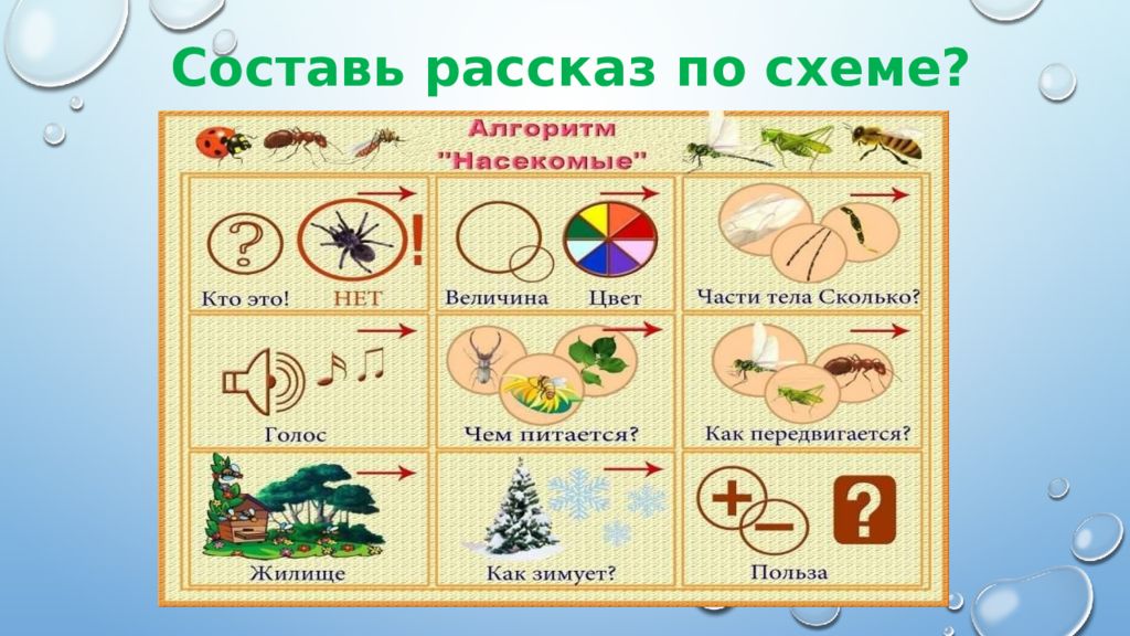 Составление рассказа по картинкам насекомые