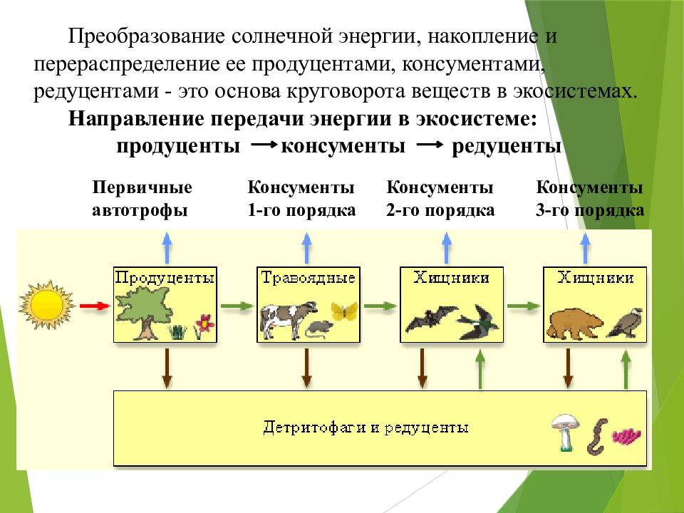 Человек обитает в значительно преобразованной или даже искусственной среде составьте схему