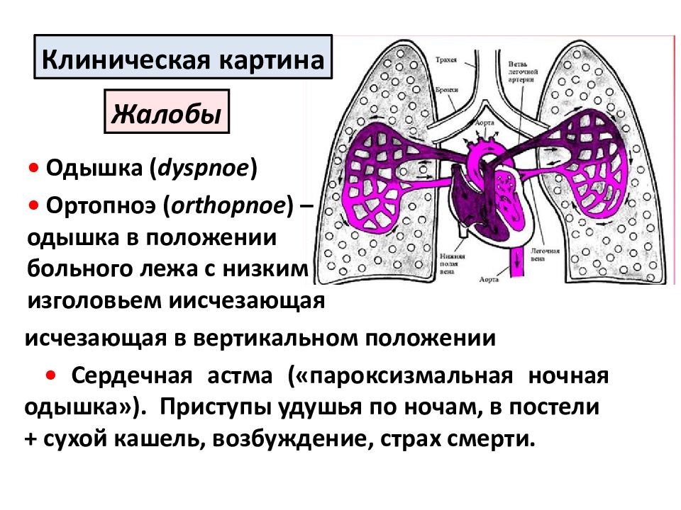 Дыхательная диагностика