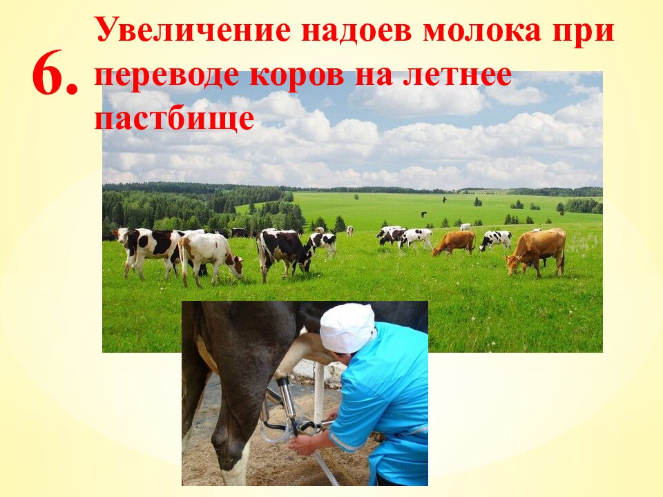 Экспресс-тест 1-й вариант 1. Случайное расхождение гомологичных хромосом при