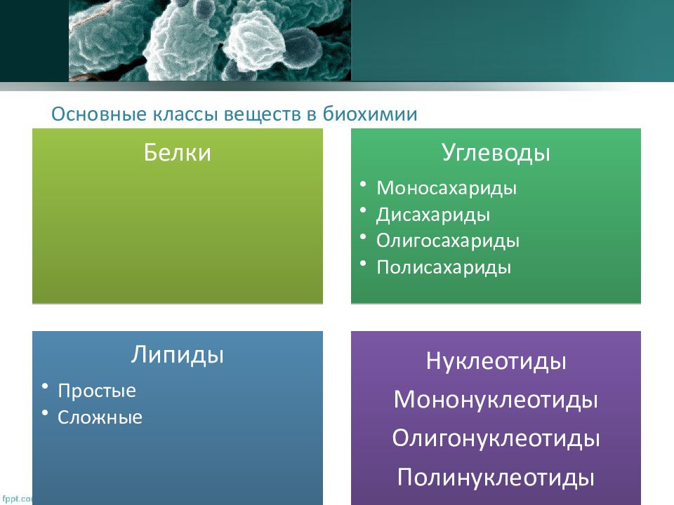 Биохимический класс. Классы в биохимии. Биохимия вещества. Биохимические соединения. Биохимия класс.