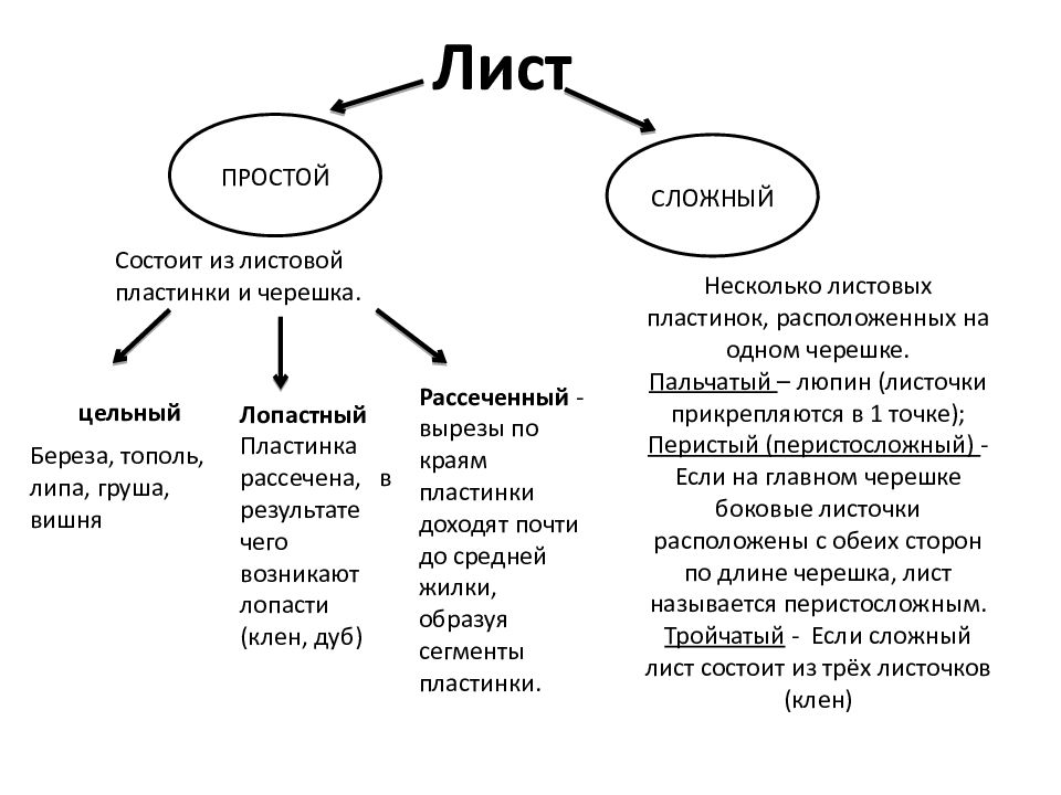 Сложное состоит из простого