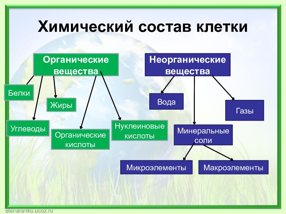 Заполни схему неорганические вещества клетки используя предложенные термины