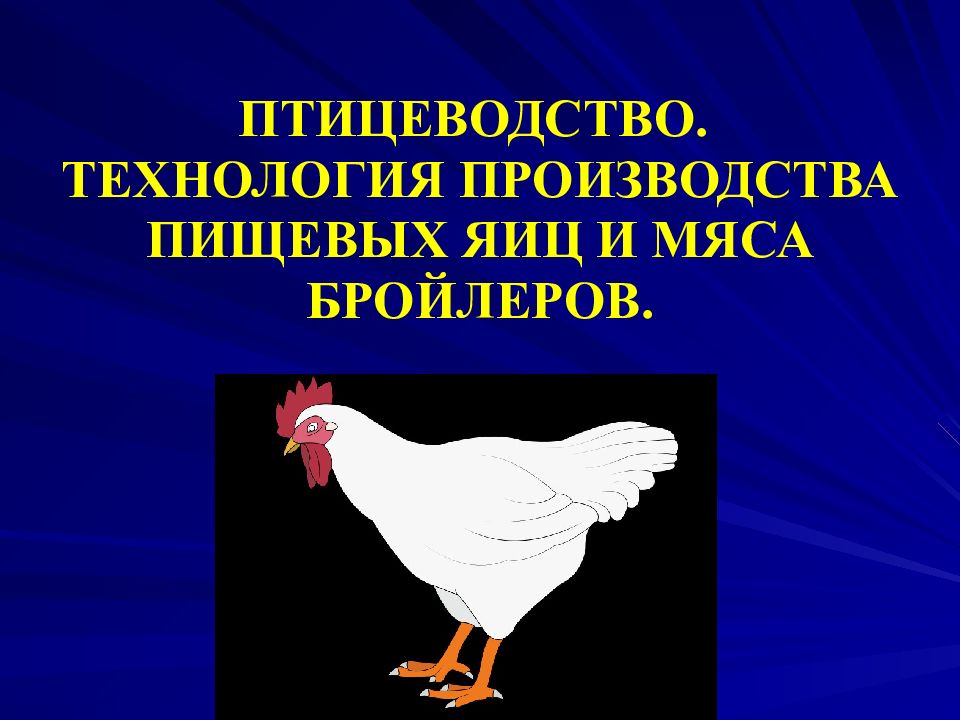 ПТИЦЕВОДСТВО. ТЕХНОЛОГИЯ ПРОИЗВОДСТВА ПИЩЕВЫХ ЯИЦ И МЯСА БРОЙЛЕРОВ.