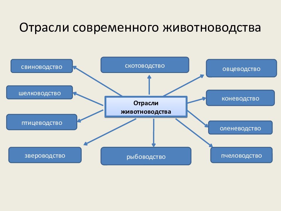 Основные отрасли животноводства