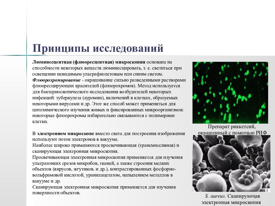 Микроскопия принцип метода