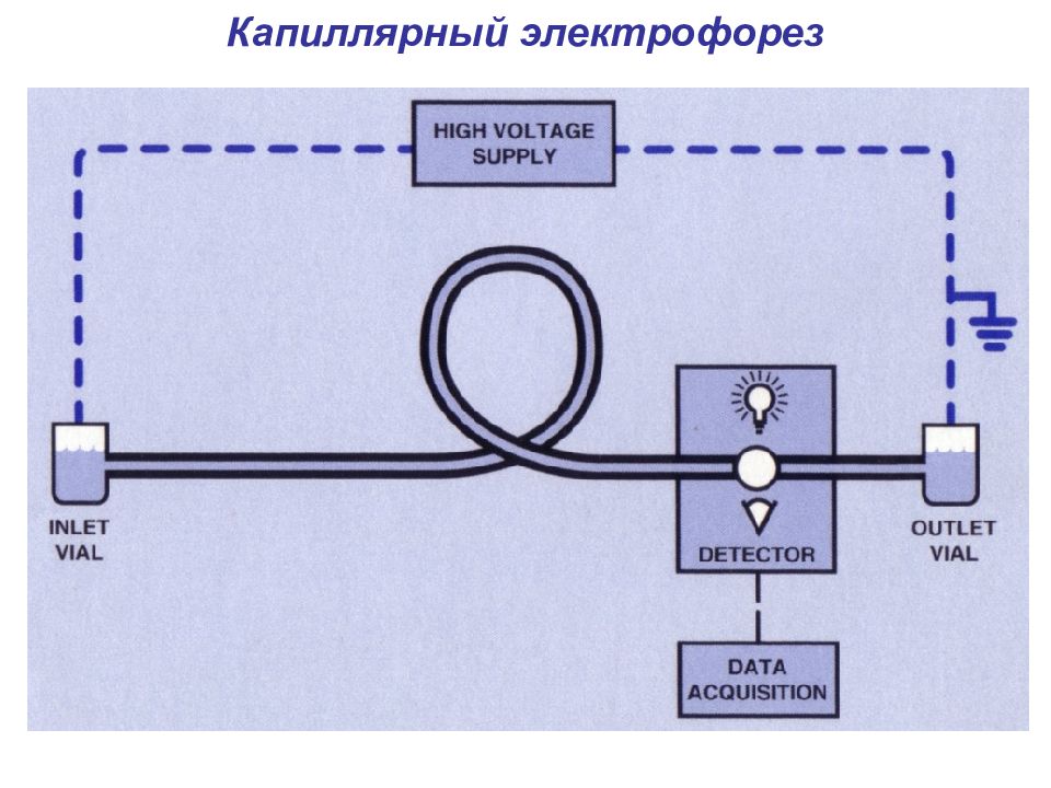 Метод капиллярного электрофореза основные принципы и схемы реализации