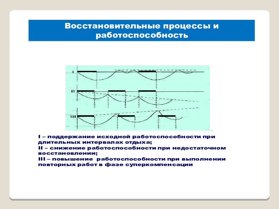 В течение длительного промежутка. Восстановительные процессы. Восстановительные процессы в организме. Восстановительные процессы физиология спорта. Восстановление работоспособности физиология.