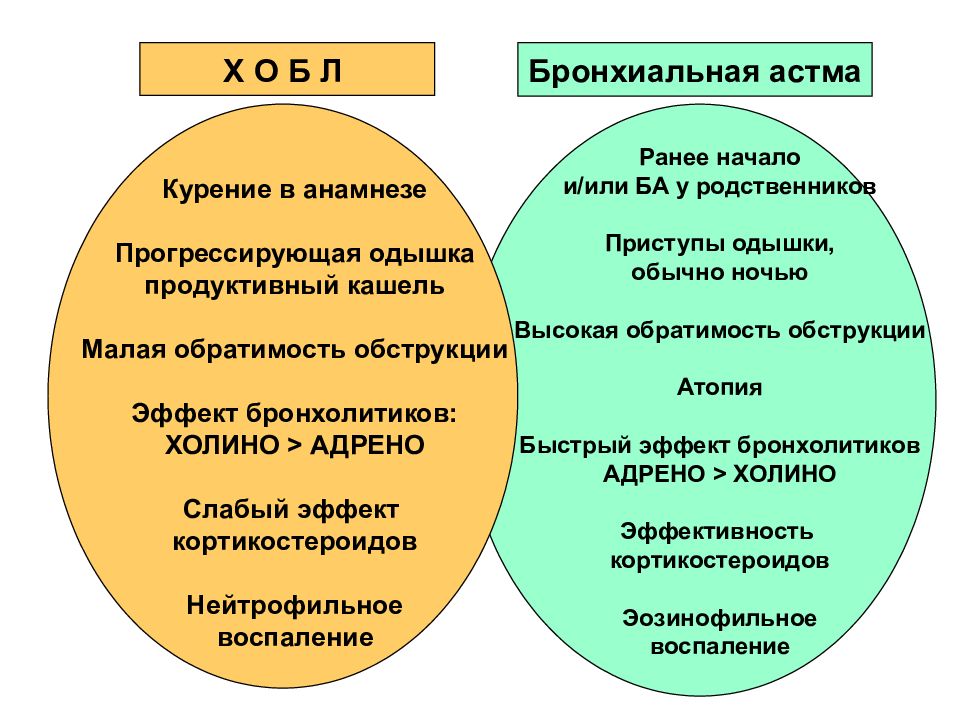 Бронхиальная астма пропедевтика внутренних болезней презентация