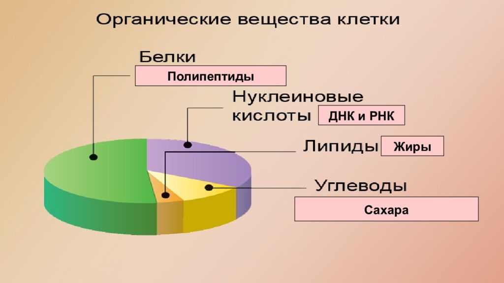 Химический состав клетки 6 класс тест