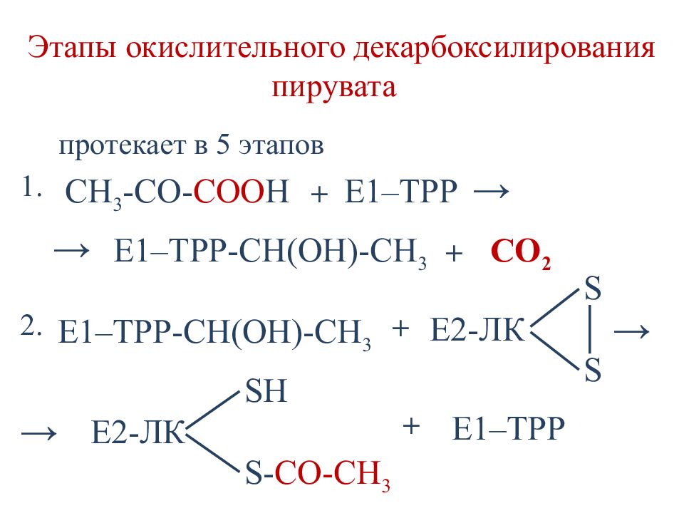 Схема окислительного декарбоксилирования пирувата