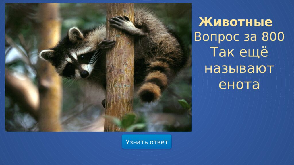 Мир весенней природы