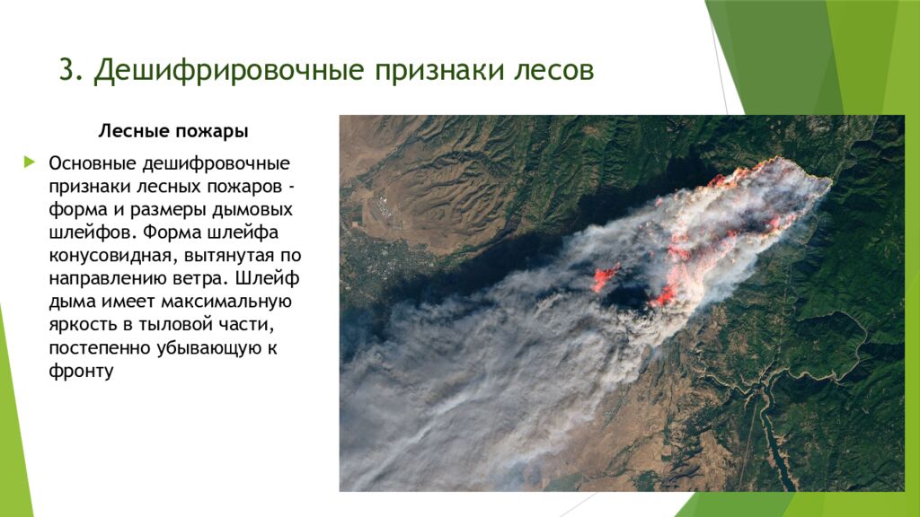 3. Дешифрировочные признаки лесов