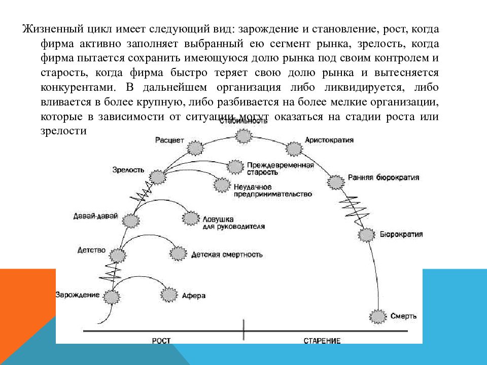 Жизненный цикл давай давай