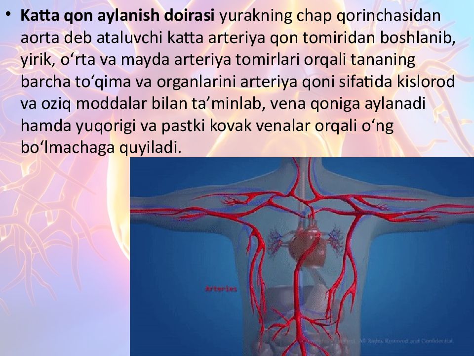 Katta va kichik qon aylanish doirasi Katta va kichik qon aylanish doirasi