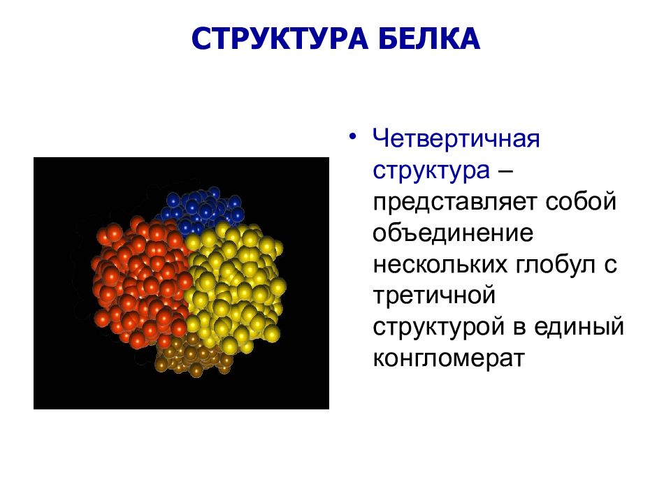 Белки 9 класс. Четвертичная структура белка представлена. Четвертичная структура белка представляет собой. Четвертичная структура белков. Четвертичная структура глобулярных белков представляет собой:.