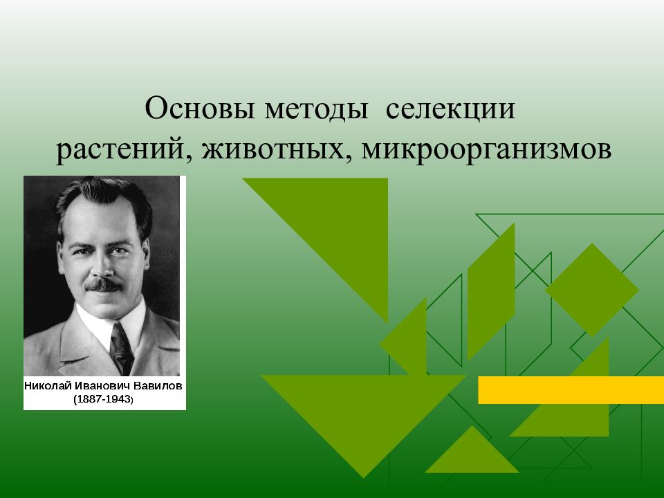 Основы селекции. Кто разработал основы селекции. Год основания селекции. Кулешов селекция. 7)Основы селекции.