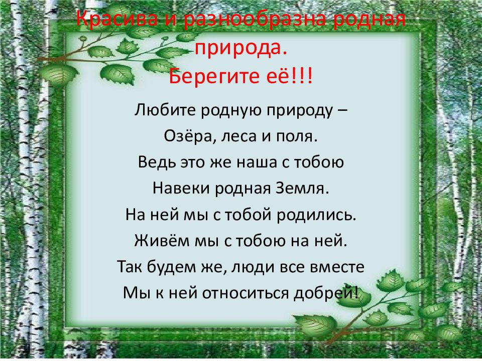 Презентация берегите лес