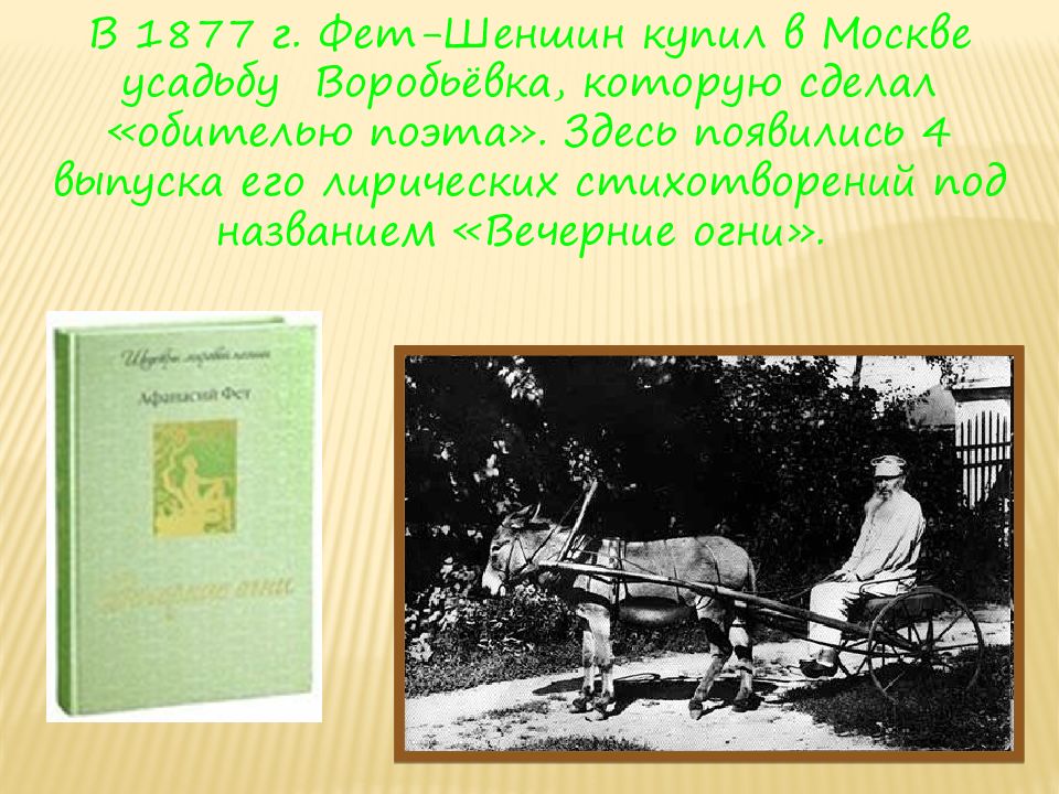 Фет 4 класс весенний дождь бабочка презентация. Афанасий Фет 1877. Вечерние огни Фет 1877. Урок литературного чтения Фет бабочка. Фет весенний дождь бабочка 4 класс презентация.