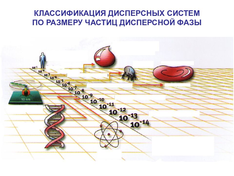 Д е систем. Щукин е.д., Перцов а.в., Амелина е.а. - коллоидная химия. Амелин химия. Щукин е д прочность дисперсных структур.