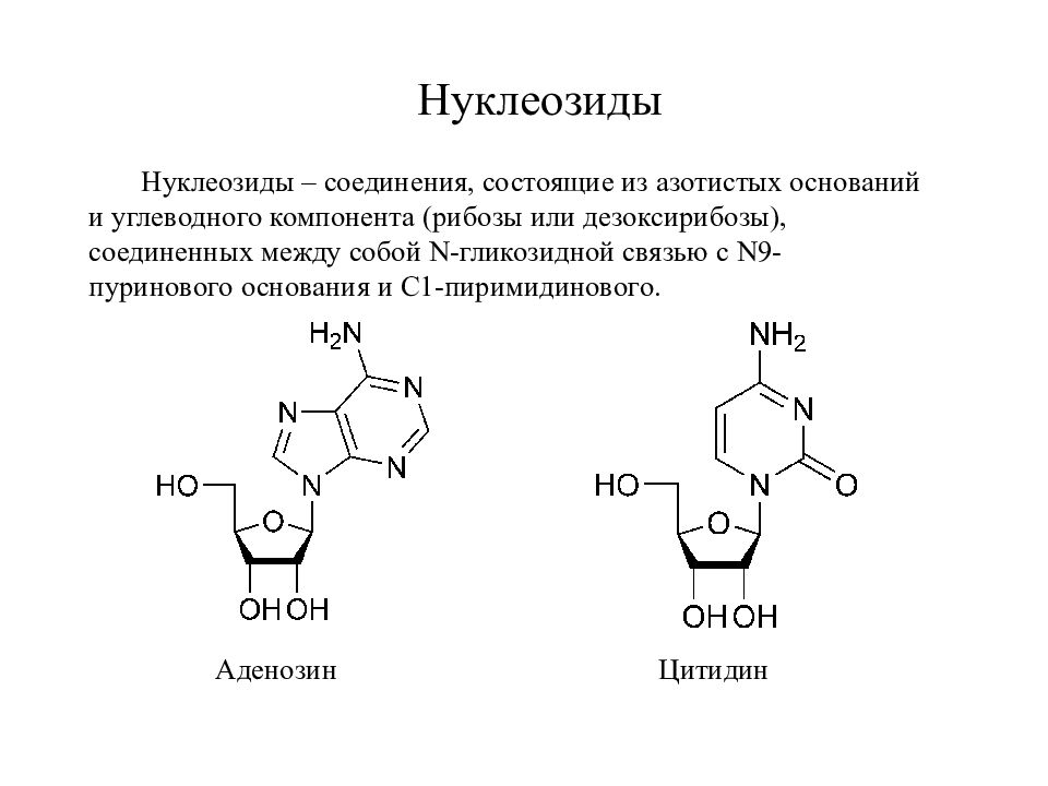 Соединение азотистых оснований. Строение нуклеозидов и нуклеозидов. Понятие азотистого основания, нуклеозида, нуклеотида.. Азотистое основание нуклеозид нуклеотид. Строение нуклеотидов биохимия.