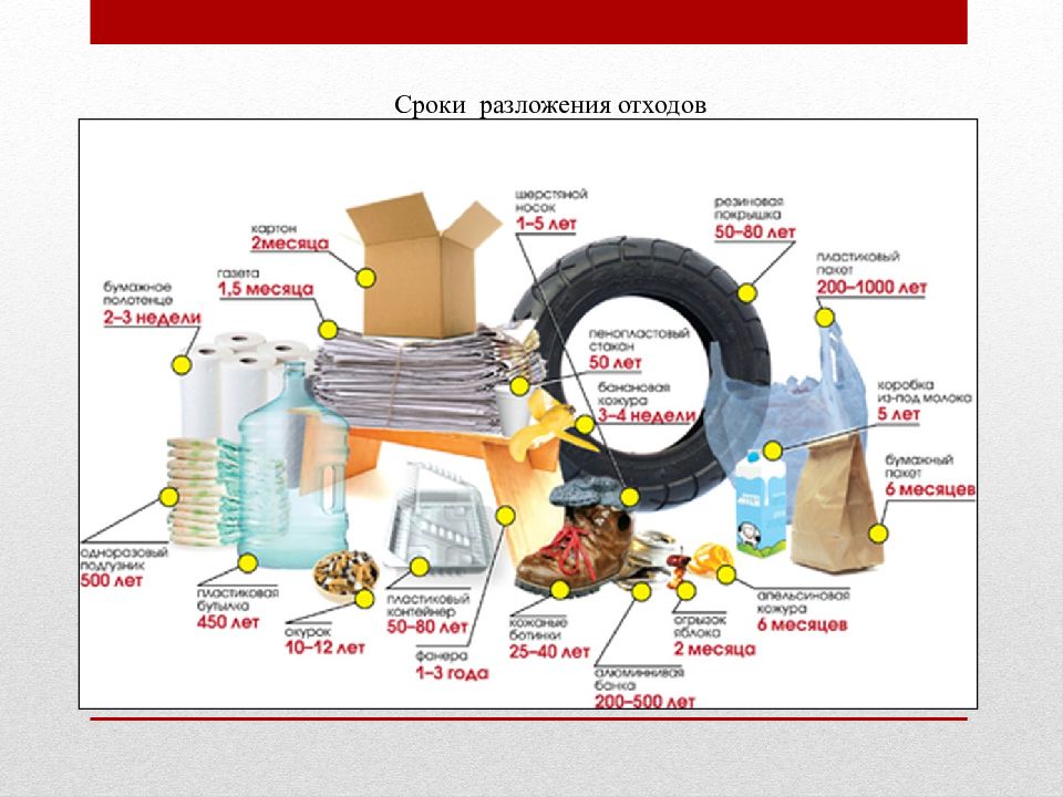 Сроки разложения в окружающей среде различных фракций