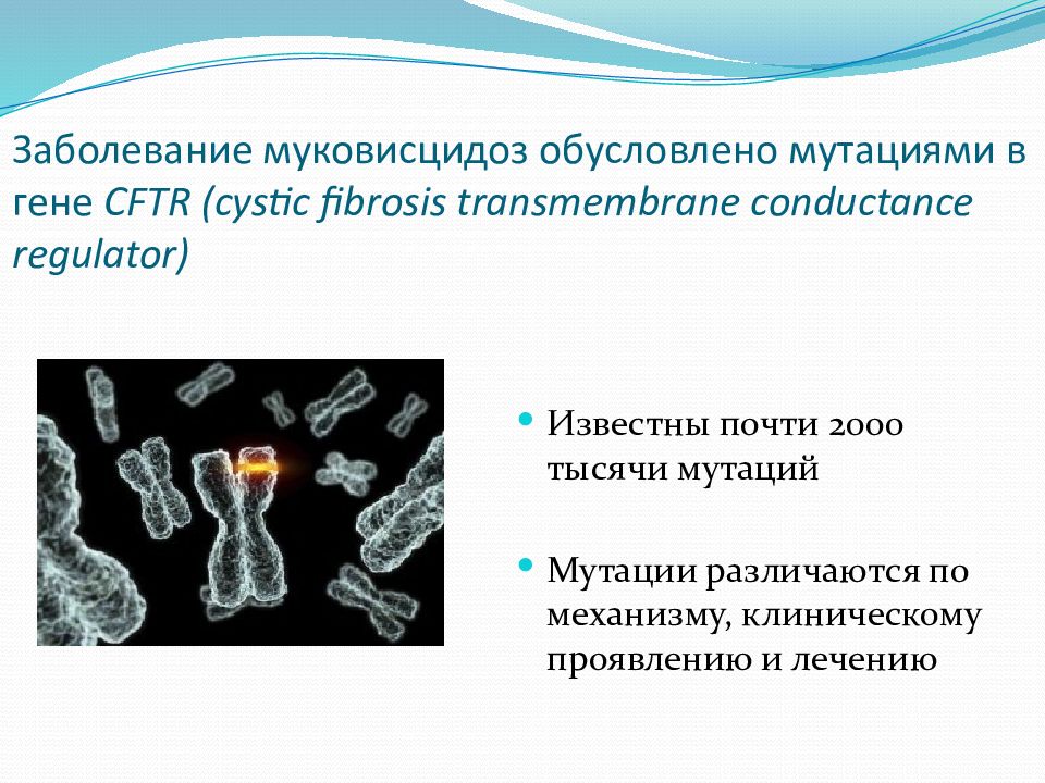 Муковисцидоз презентация по генетике