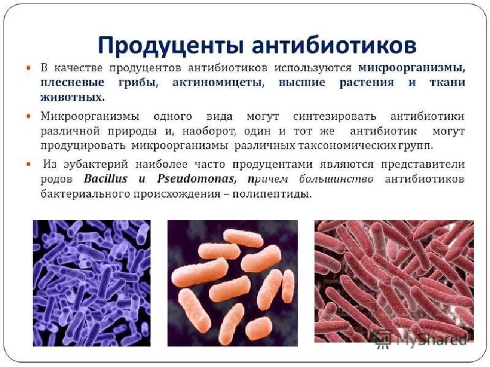 Антибиотики как лекарственные средства презентация