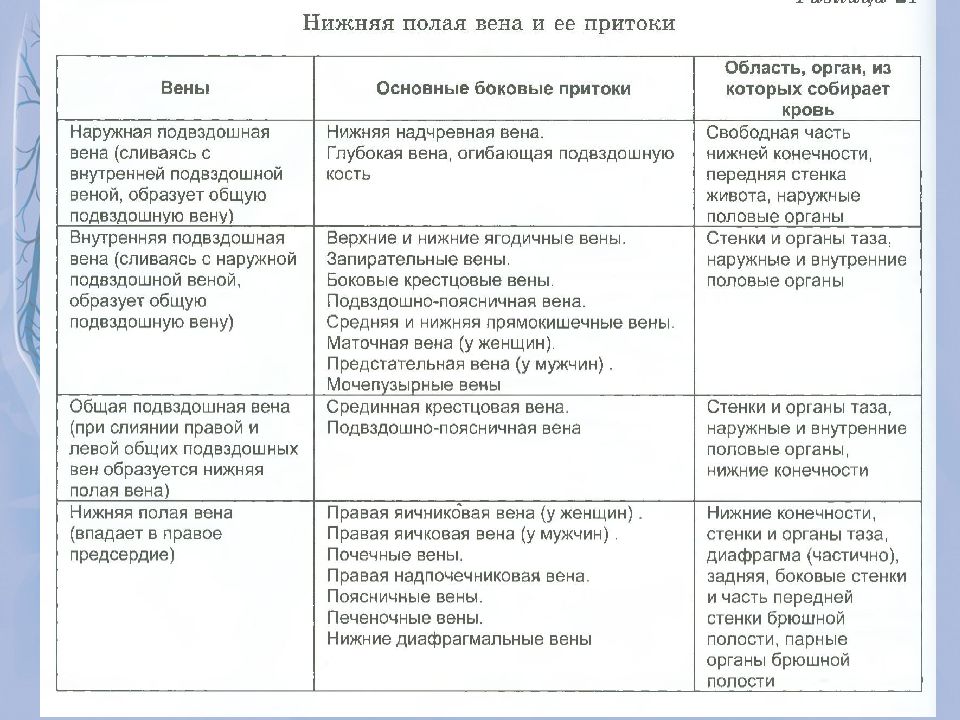 Таблица вен. Вены таблица. Система верхней полой вены таблица. Нижней полой вены таблица. Таблица основные вены.