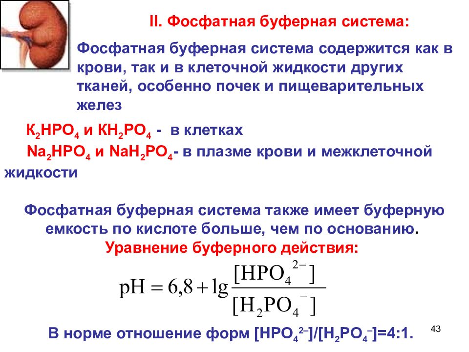 Ph буферного раствора. Оксалатный буферный раствор. Фосфатный буферный раствор формула. Механизм действия фосфатной буферной системы. Пропионатный буферный раствор.