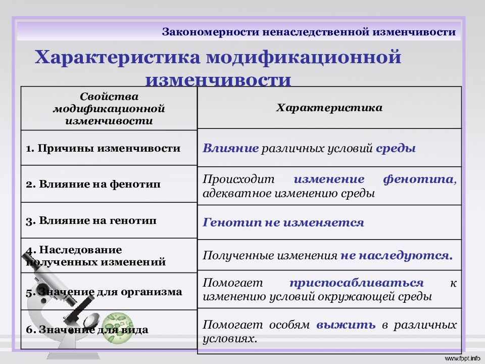 Закономерности изменчивости презентация