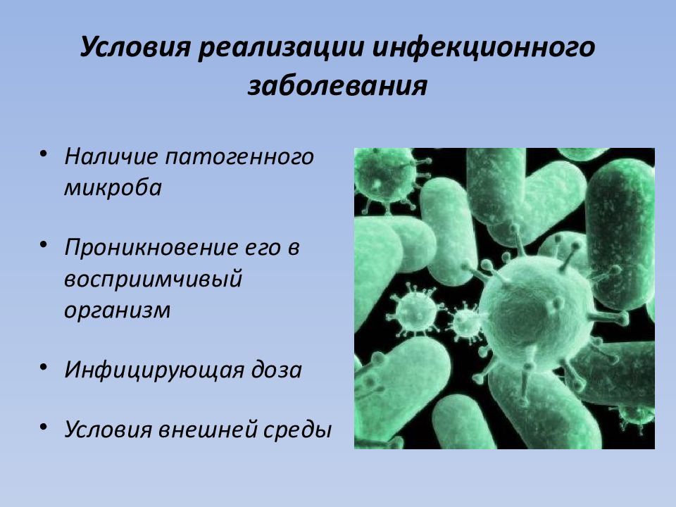 Какие условия способствуют распространению бактерий