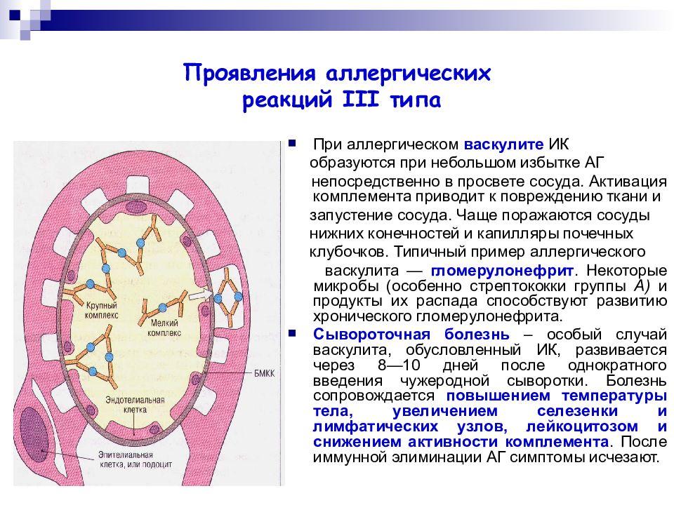 Аллергическая реакция карта