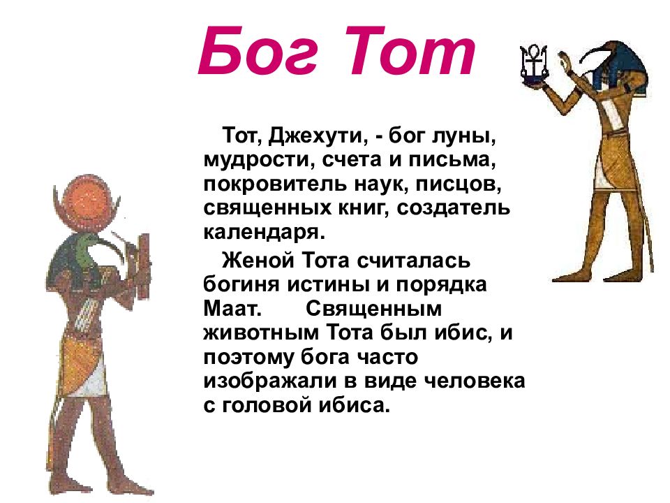 Информация о томе. Бог древнего Египта Бог мудрости тот. Бог Джехути в древнем Египте. Бог мудрости в древнем Египте. Сообщение о Боге Египта тот.