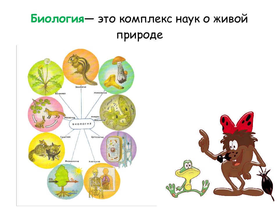 Признаки биологии 5