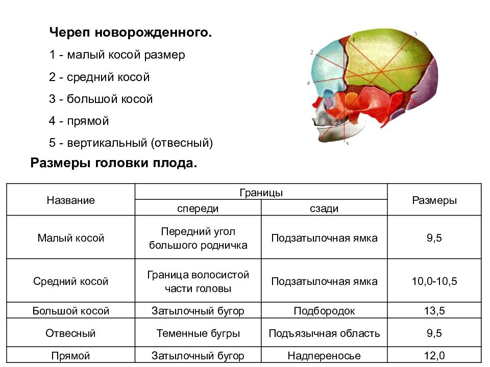 Головка плода как объект родов презентация