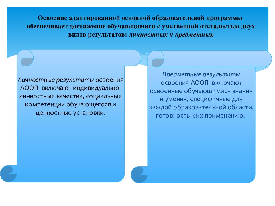 Учебный план адаптированной программы для детей с умственной отсталостью