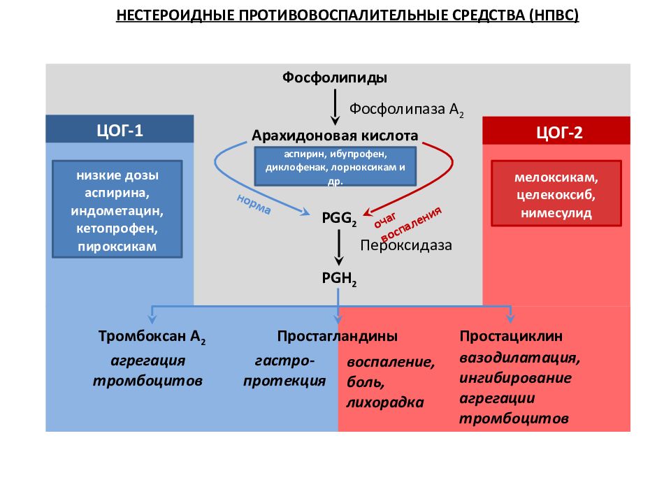 Угнетение картины крови нпвс вызывающие