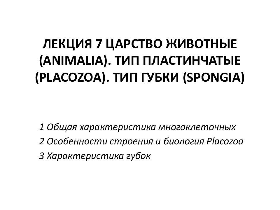 ЛЕКЦИЯ 7 ЦАРСТВО ЖИВОТНЫЕ ( ANIMALIA ). ТИП ПЛАСТИНЧАТЫЕ ( PLACOZOA ). ТИП ГУБКИ ( SPONGIA )
