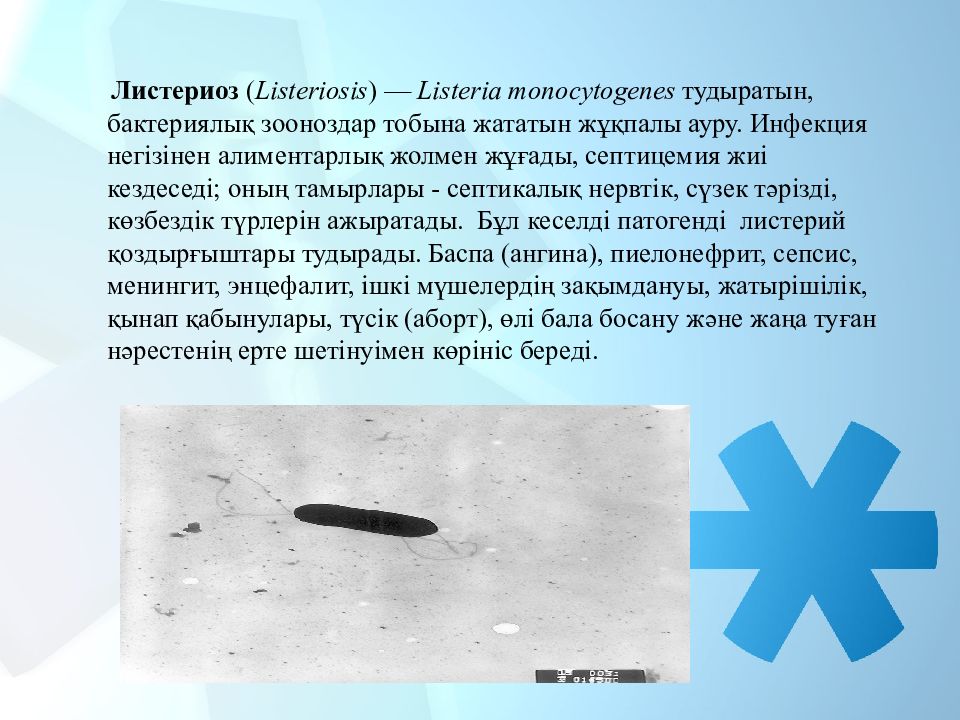 Listeria monocytogenes что это