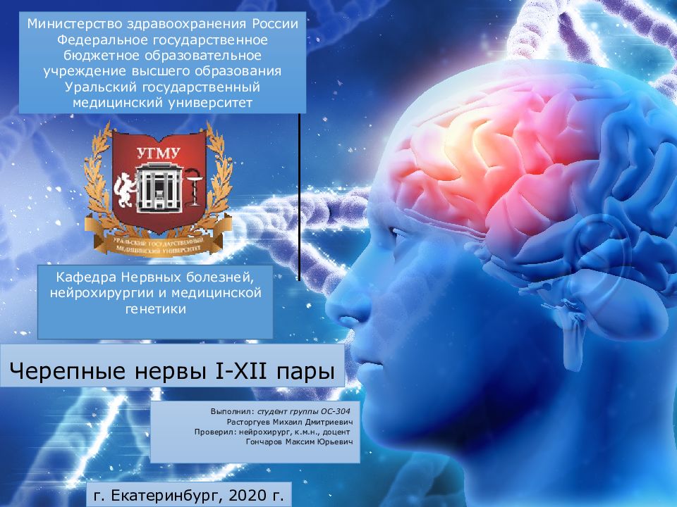 Черепные нервы I-XII пары