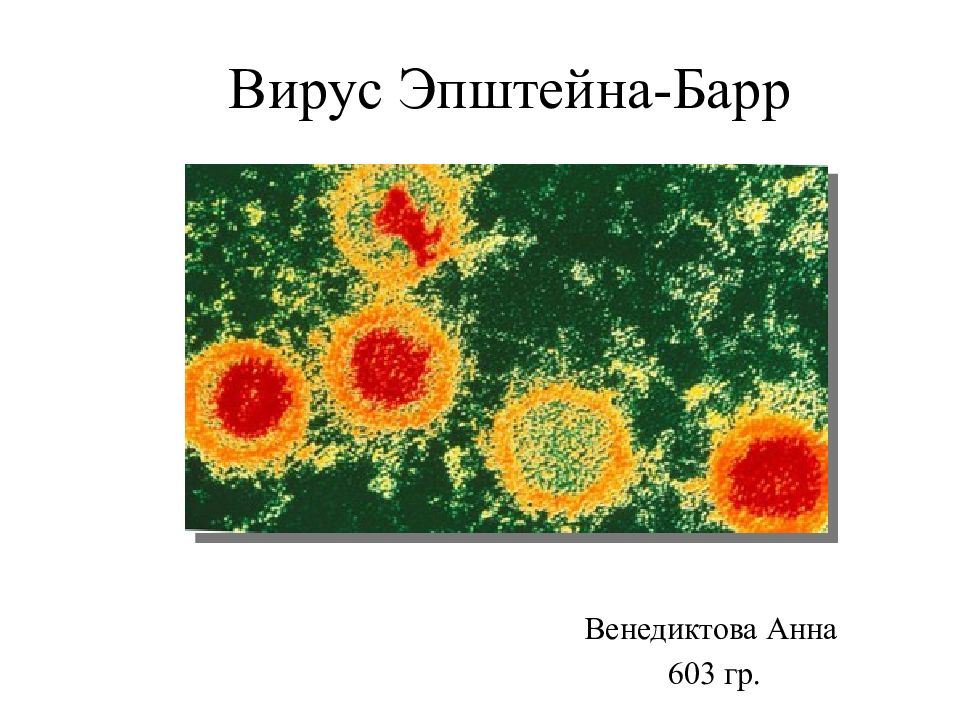 Вирус Эпштейна-Барр