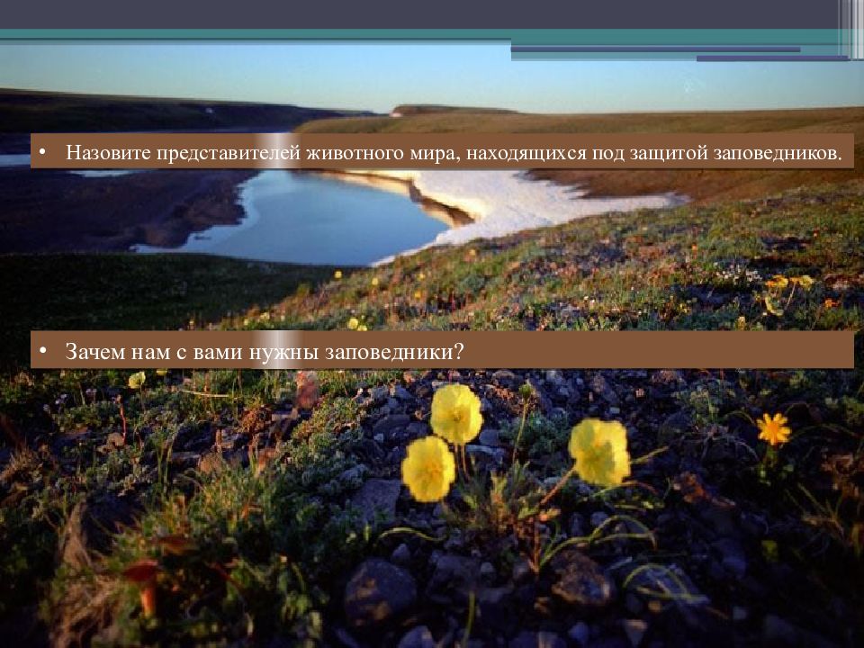 Зачем нужны заповедники. Зачем нам нужны заповедники. Заповедники 3 класс окружающий мир 21 век. О заповедниках 3 класс школа 21 века презентация. Зачем нас нужны заповедники.
