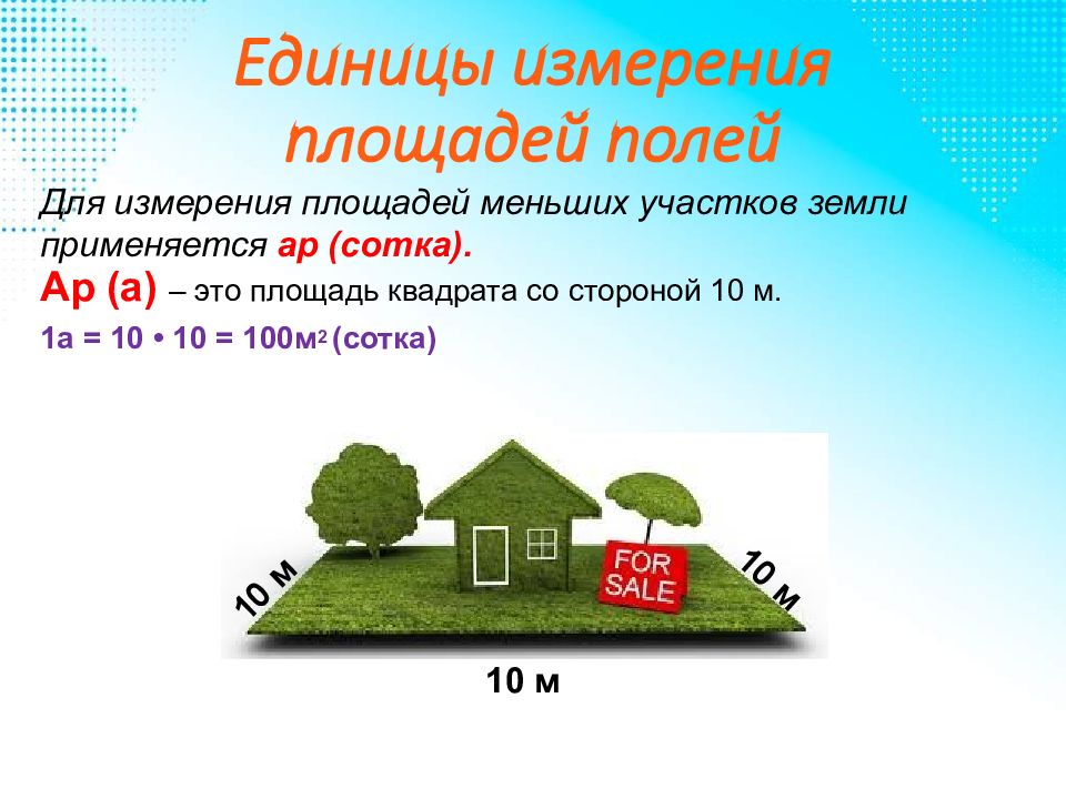 Площадь земельного участка. Сотки в квадратные метры. Сколько квадратных метров в сотке. Измерение земельного участка в сотках.